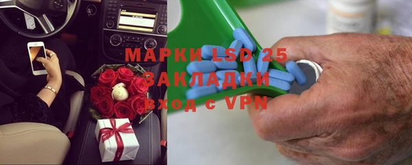 хмурый Алексин