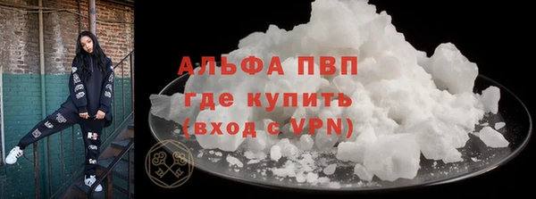 хмурый Алексин