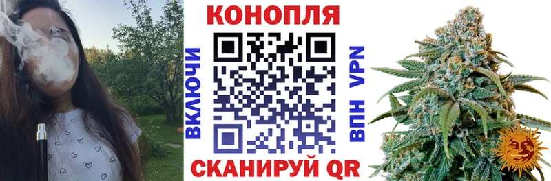 гидра   Сельцо  Бошки марихуана OG Kush 
